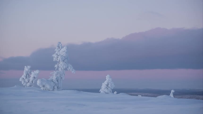 Time lapse of purple clouds over snow covered trees