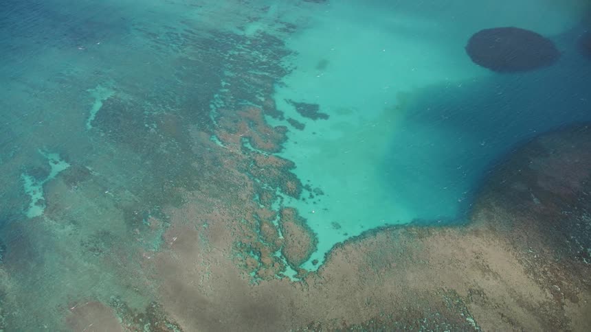 Islands spring up from the ocean floor