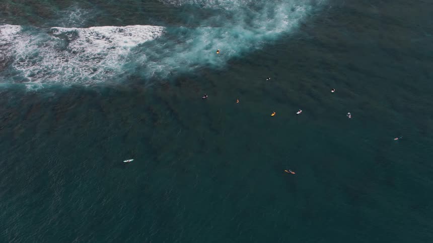 Aerial view of surfers floating over surfboards on the surface of the ocean
