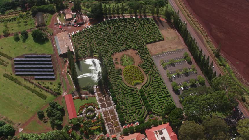 Aerial view of a maze hedge on the garden of a luxurious club