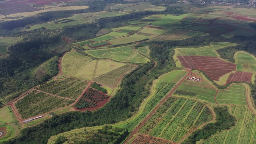 Crops grow in distinct fields and defined rows on a vast farm
