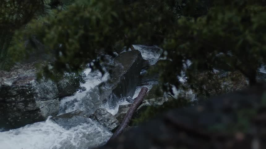 Overhead view through trees of waterfalls flowing over rocks