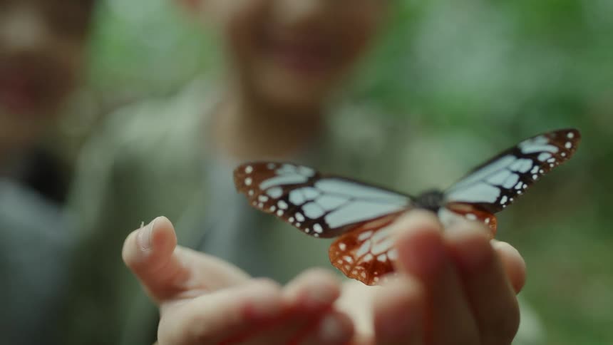 A boy and girl looking at a butterfly on the boys hand with trees the sky and clouds in the background