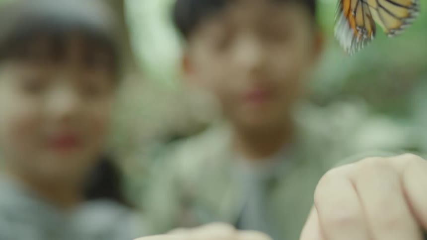 A child backs away laughing as butterflies fly off his hands