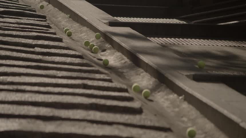 Several tennis balls roll down a street gutter