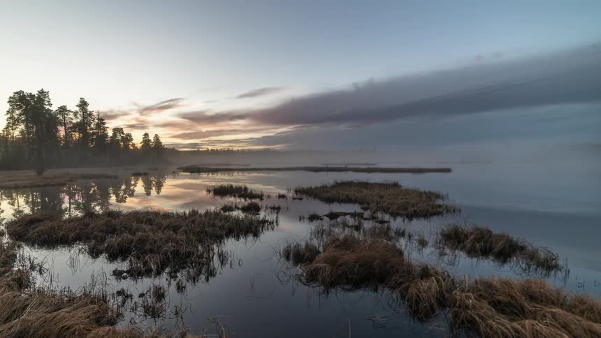Time-lapse of a marshy foggy lake
