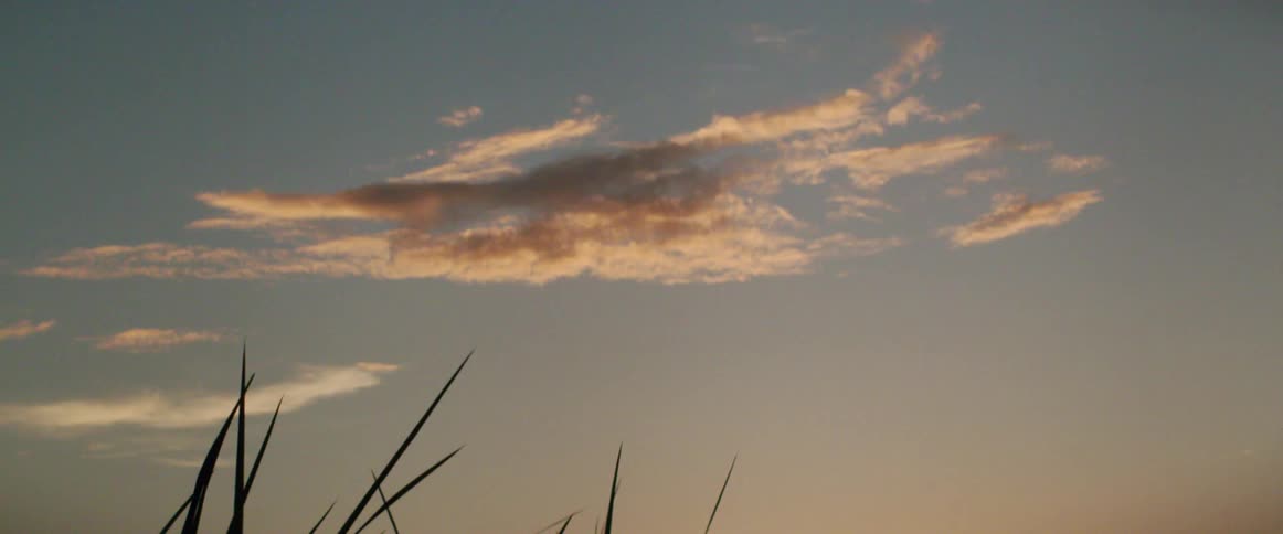 A wispy cloud hangs serenely in the sky on a sunny day