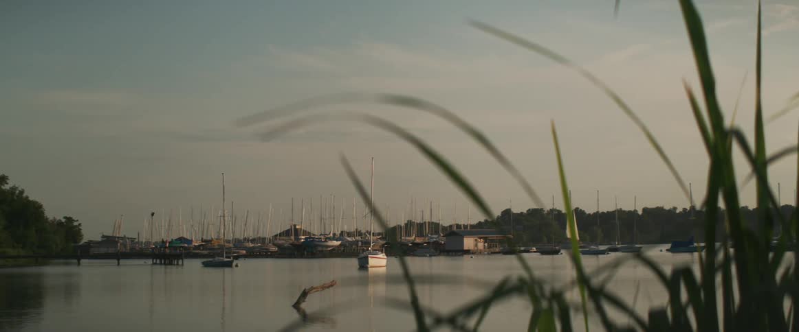 Boats at a marina