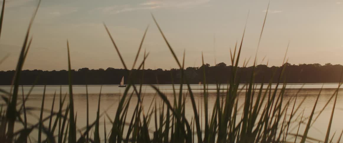 A sailboat on a lake