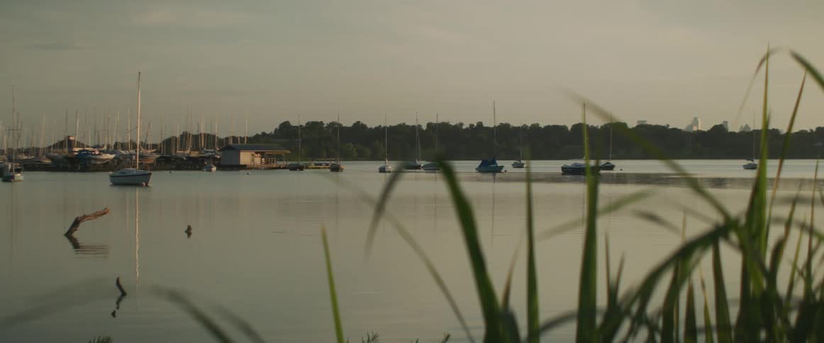 Boats parked at a marina