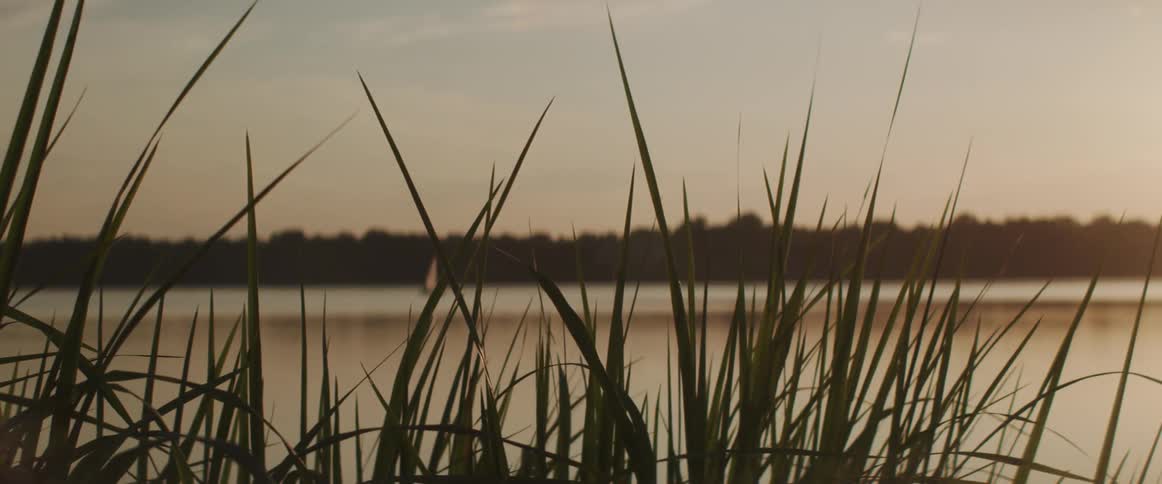 Landscape of lake