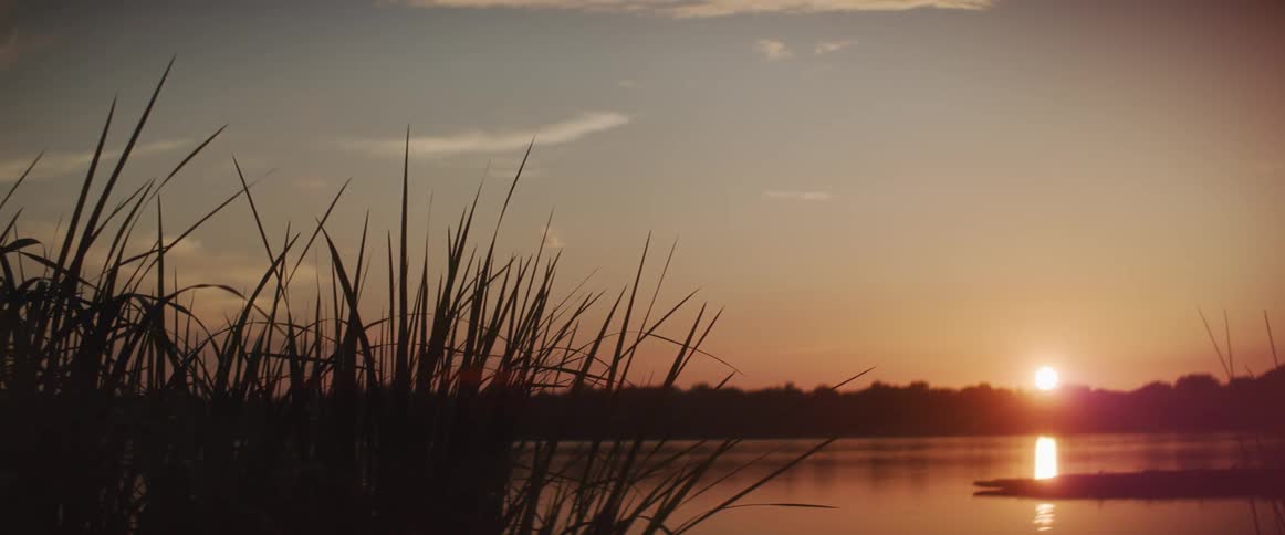 Tall grass near a lake moves in the breeze as the sun sets in an orange sky