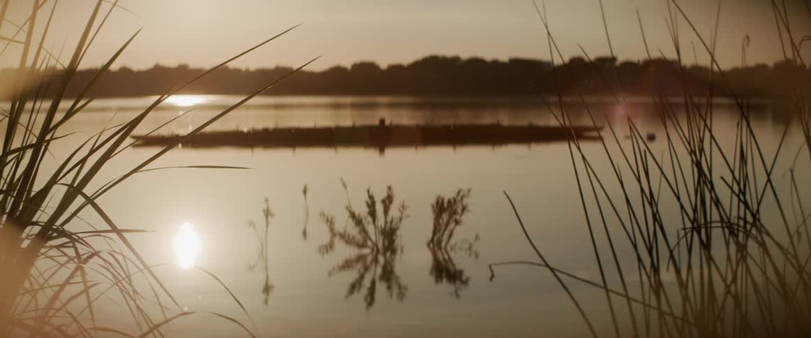 A river with the sun reflecting off the water with trees the sky and clouds in the background