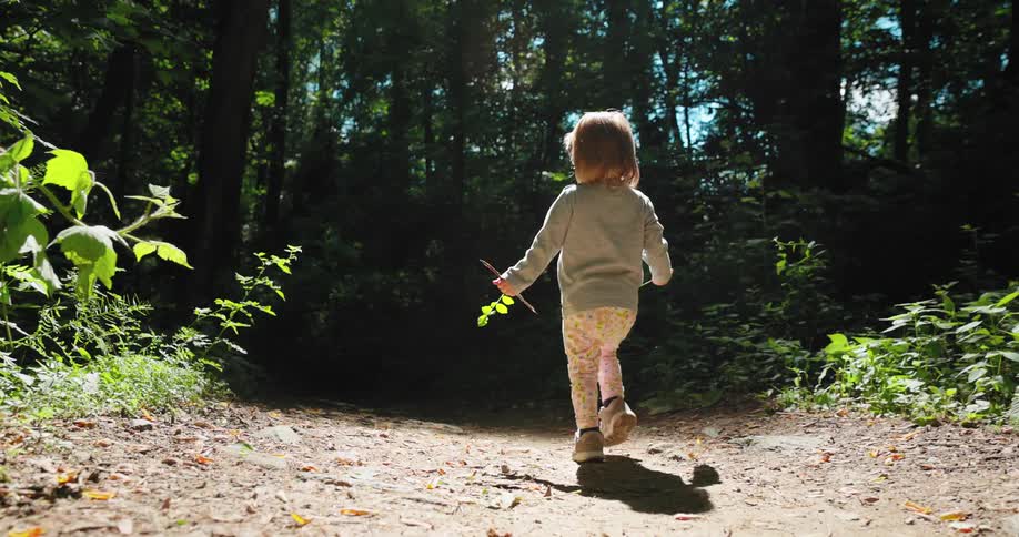 A small child is walking on a trail in the forest