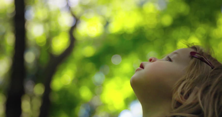 Blonde girl looking up under the thick folliage of a forest