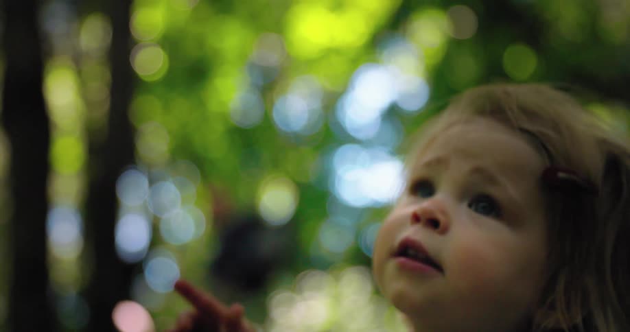 A child is pointing up at the trees
