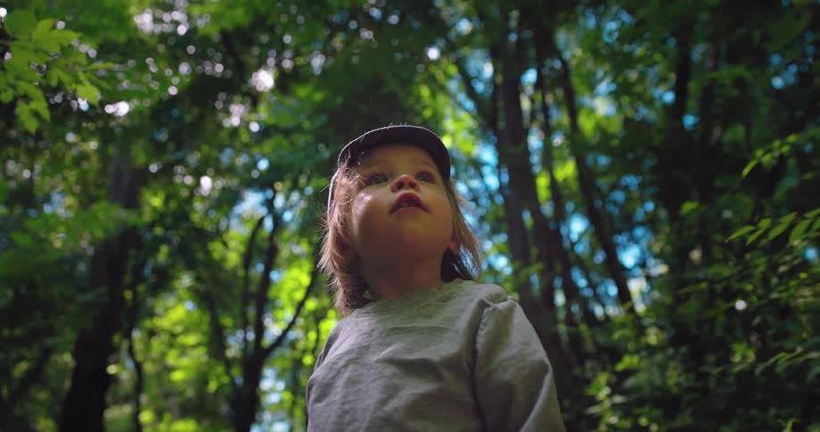 A child with a hat in a forest with trees the sky and clouds in the background