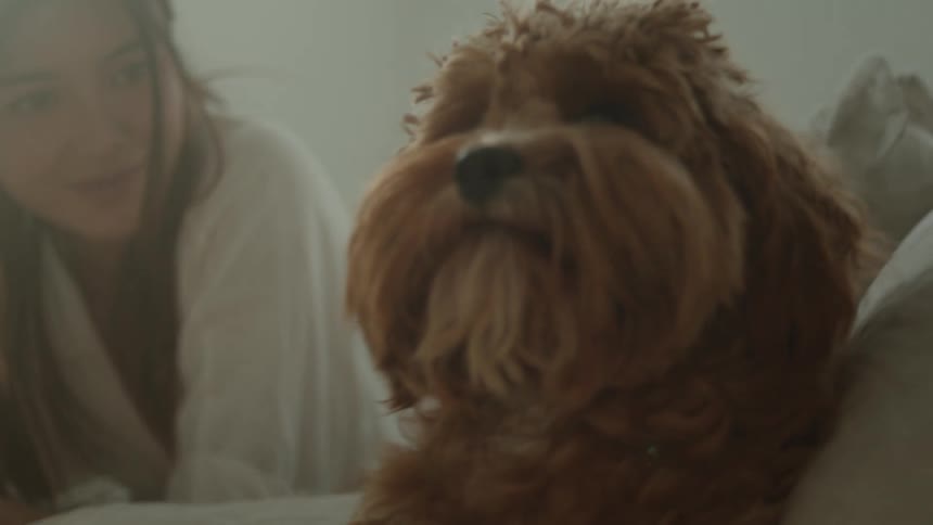A woman and a dog laying on a bed