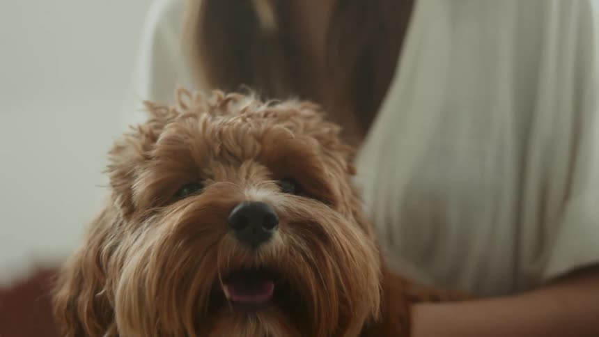 A young woman leans over and kisses and pets her happy dog