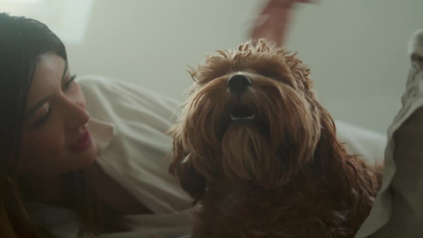 A woman is in bed petting her dog