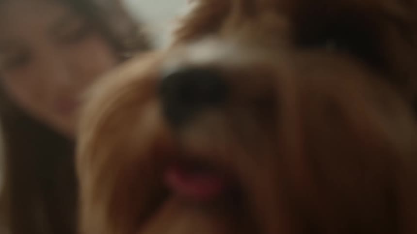 A woman in a bedroom laying in bed next to a dog with a wall in the background