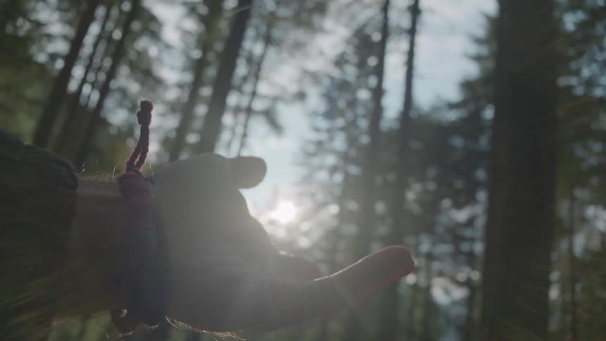 A man in a forest holds his hand up in front of the sun shining between trees and rotates it around
