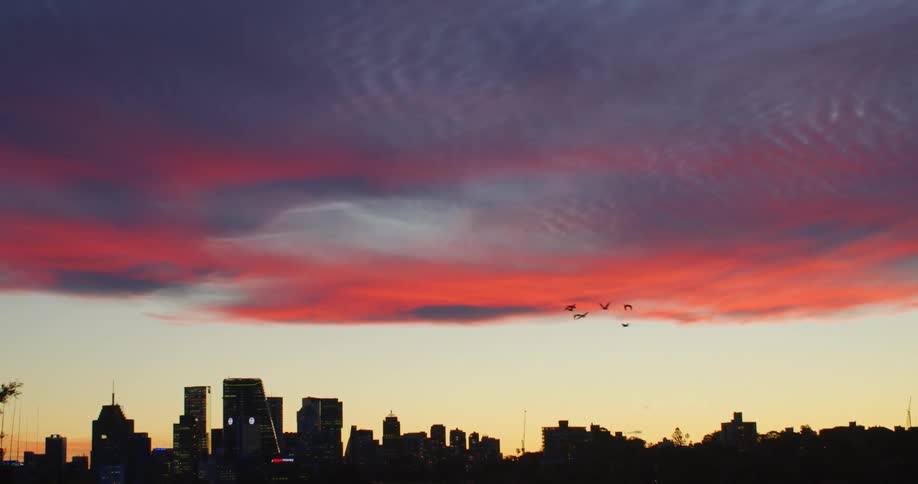 Dark clouds over a city skyline as birds fly past