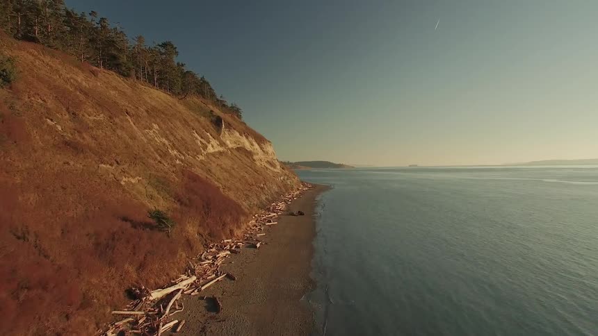 Waves lap on the shore of a narrow beach littered with logs