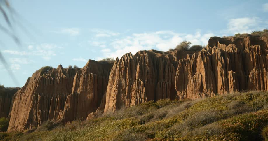 Trees and brush at the base of rocky cliffs in the wind on a bright blue sky day
