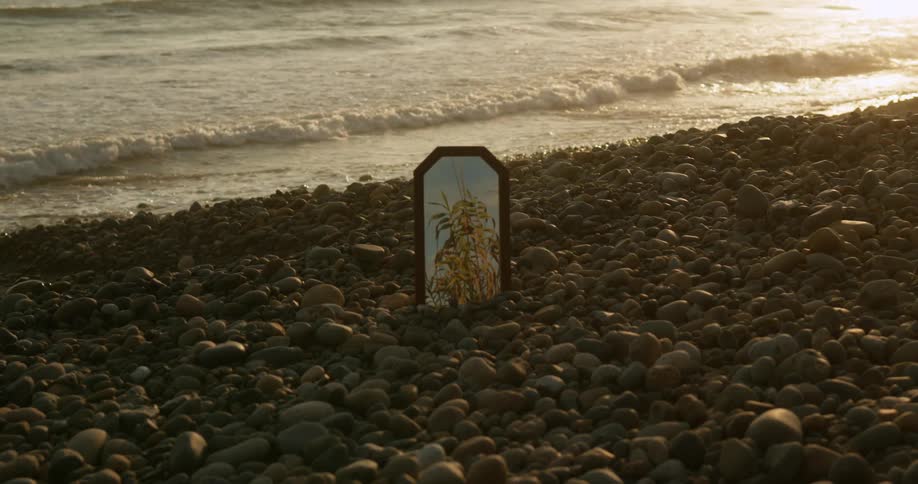 Plants reflecting on a mirror standing on the pebbles near the ocean at sunset