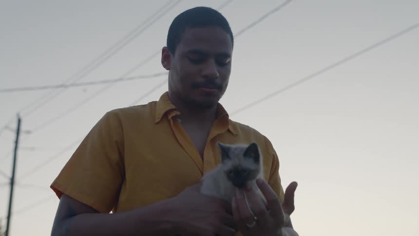 Man wearing yellow shirt holding a kitten on his hands while standing on the street of a neighborhood at morning