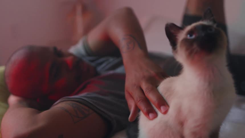 A man lies in bed and smiles while petting his siamese kitten