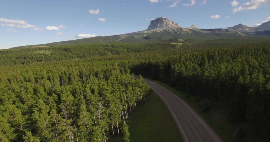 A two lane road runs through a vast pine forest with a mountain in the background