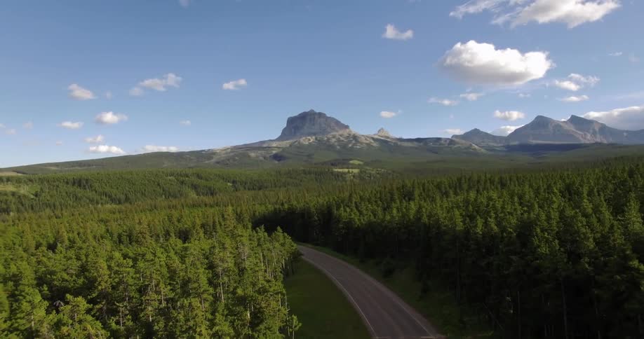 Aerial view of a road surrounded by dense forests