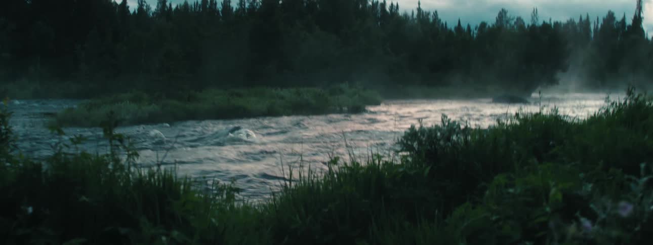 A large and rapidly flowing river passes through a densely forested area