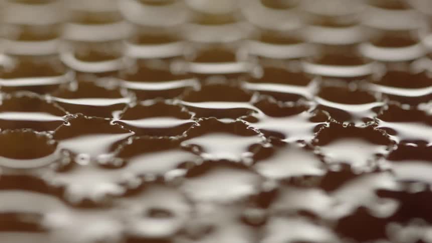 Honey in honeycomb shines as light brightens before darkening again