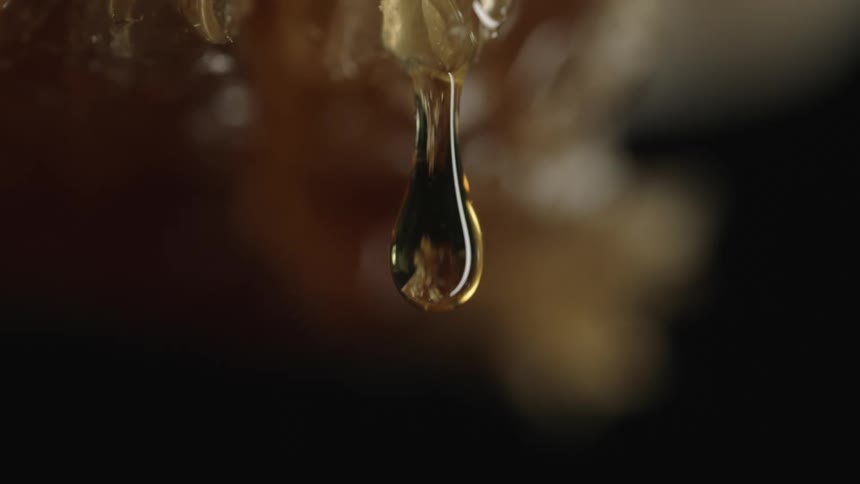 Honey dripping from a honeycomb