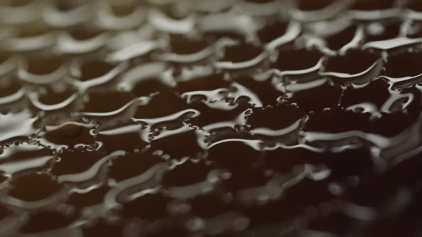 A view of honey in a honeycomb