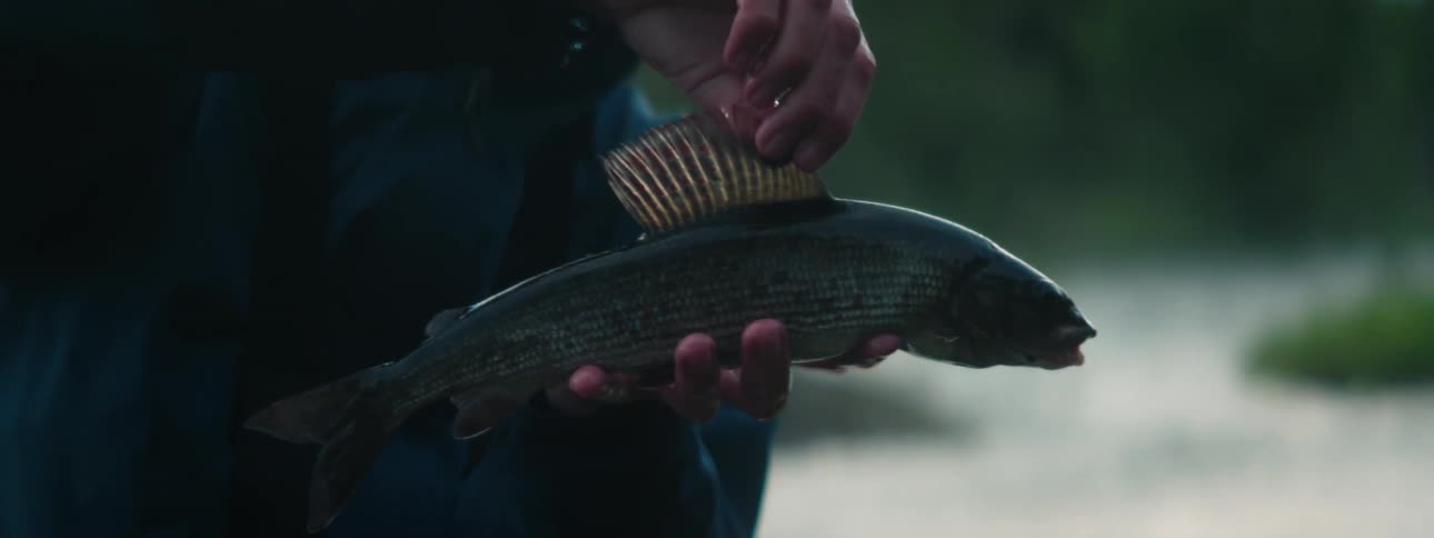 Fisherman holds and examines fish standing next to river
