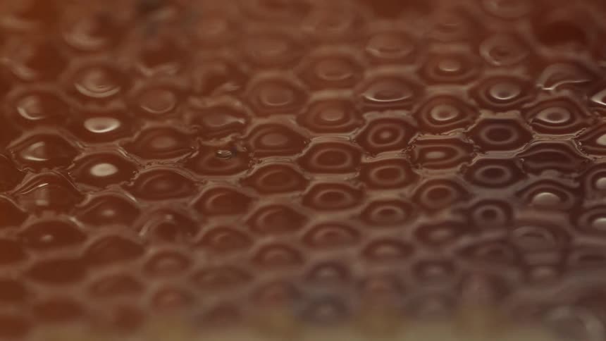 An up close view of a honeycomb