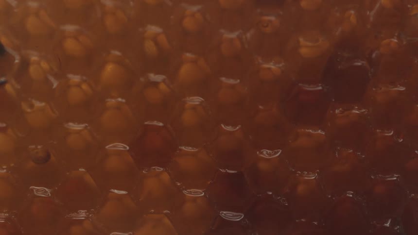 Light fades casting shiny honey and honeycomb into shadow