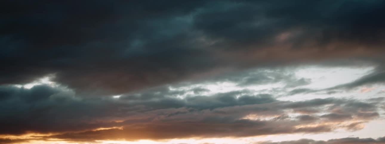 Sun turns sky on horizon red contrasting with dark clouds over trees