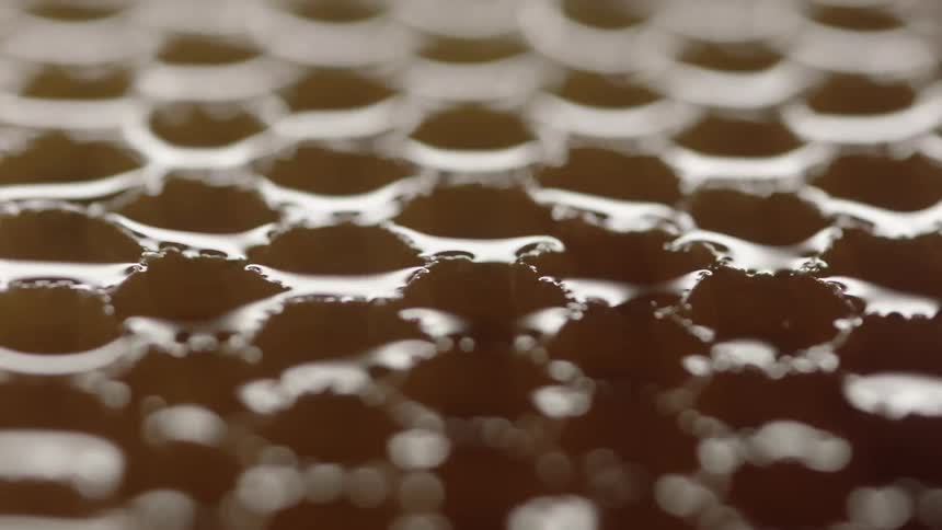 A view of some honey in combs