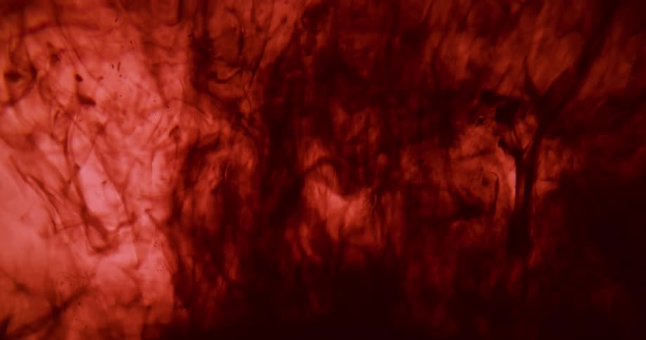 Red liquid slowly mixes and swirls to combine with a black fluid