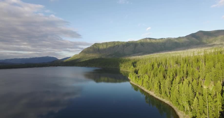 A still body of water near a forest