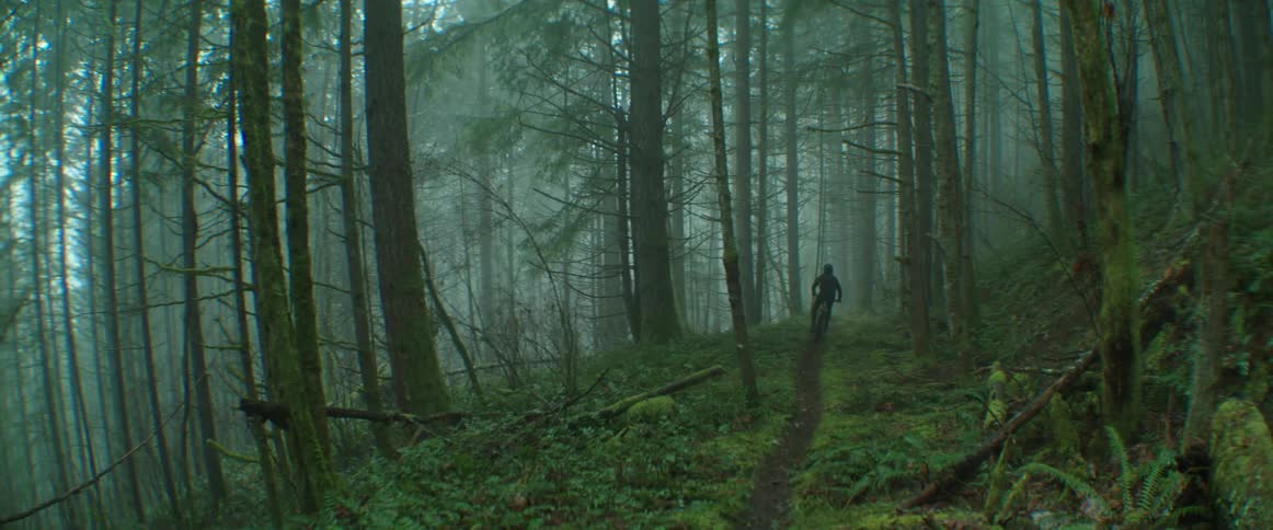 A person races their bicycle down a lush ribbon of trail in a dense, foggy forest and disappears