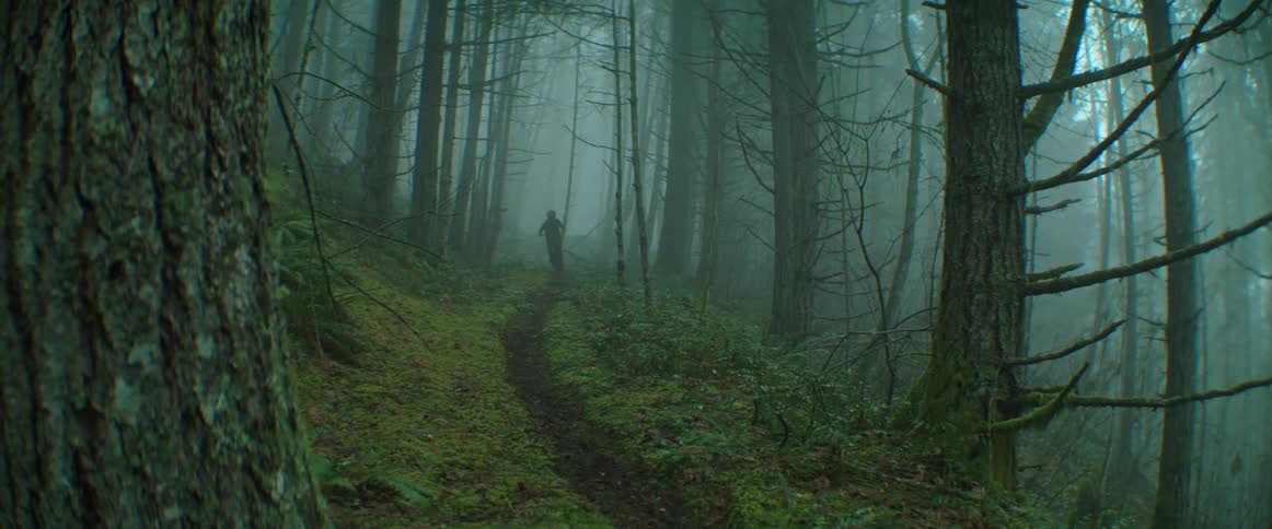 A mountain biker appears from the fog riding a lush forest trail