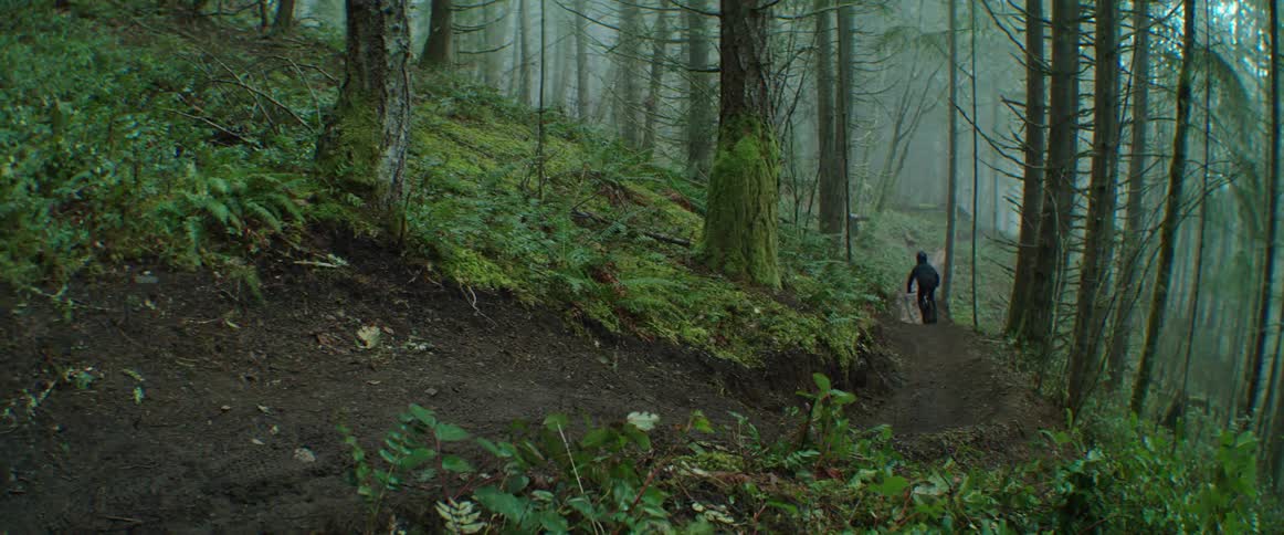 A person on a mountain bike threads a ribbon of trail through the woods and hits jump