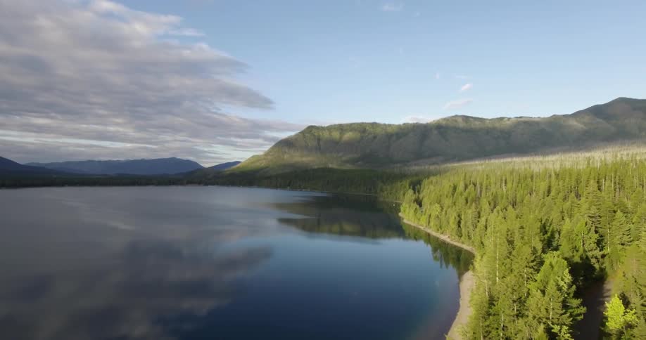 A still lake next to a forest