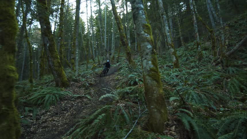Mountain biker rides through winding forest trail in lush PNW setting